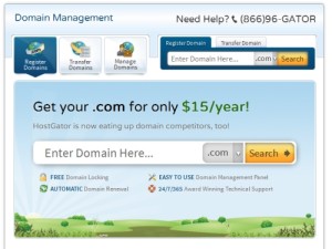 hostgator-domain-almak-300x225 