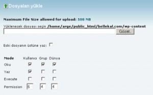 cpanel-dosya-yukleme-300x187 