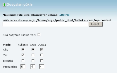 cpanel-dosya-yukleme Wordpress Türkçeleştirme Wordpress Kurulumu site kur 