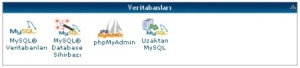 hostgator-cpanel-veri-taban-300x68 