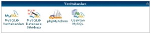 hostgator-cpanel-veri-taban-300x68 