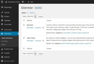 wordpress-eklentiler-ayarlari-300x204 