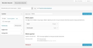 wordpress-menu-ayarlari-300x157 