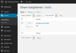 wordpress-ortam-ayarlari1-300x208 