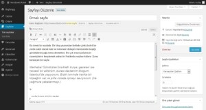 wordpress-sayfa-ayarlari-300x161 