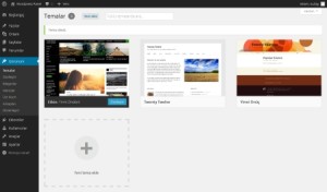 wordpress-tema-ayarlari-300x176 