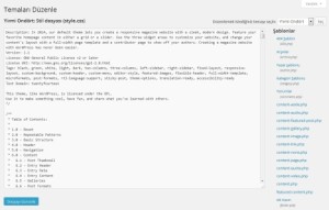wordpress-tema-duzenleme-ayarlari-300x191 