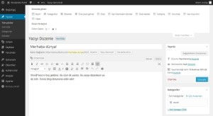 wordpress-yazi-ayarlari-300x164 