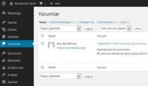 wordpress-yorum-ayarlari-300x175 