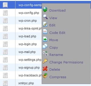 cpanel-dosya-ayarlari-300x285 