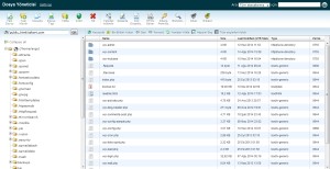 cpanelden-dosya-duzenlemesi-300x154 