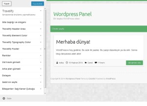 wordpress-tema-ozellestirme-300x216 
