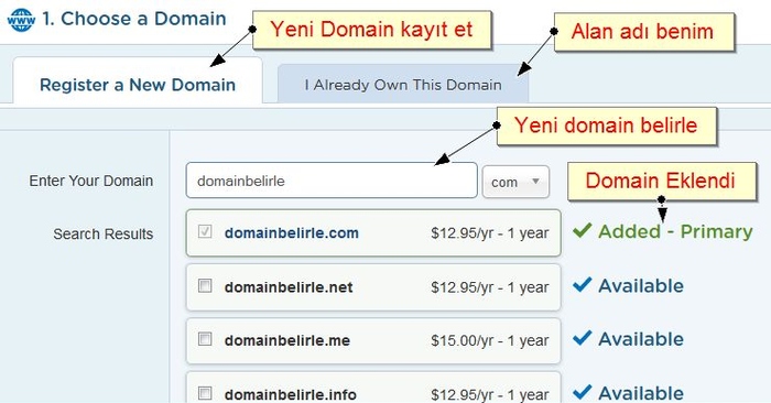 domain-alan-adi-alma website nameserver domain name buy domain name domain buy Domain 