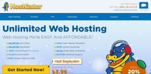 hostgator-ana-sayfa-300x148 