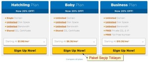 hosting-siparis-300x126 