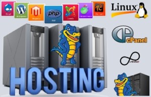sinirsiz-web-hosting-300x192 
