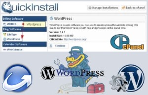 wordpress-kurulumu-set-up-300x192 