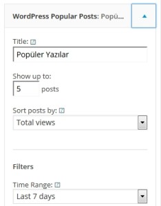 wordpress-populer-yazi-eklentisi-234x300 